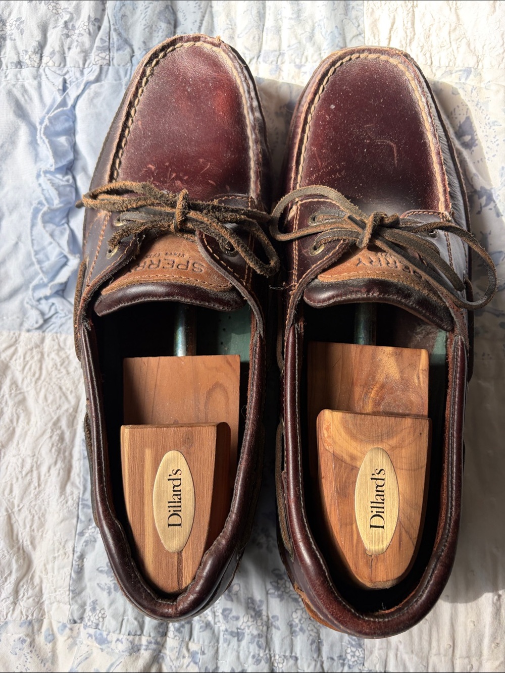 Sperry TopSider